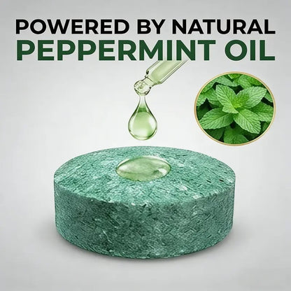 🔥LAST DAY 50% OFF🔥🌿Natural Peppermint Rodent Repellent Balls (12 Pack) 🚫Keep Rats, Mice & Pests Away Safely✅