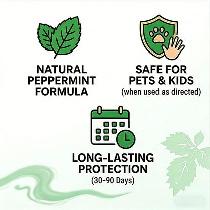 🔥LAST DAY 50% OFF🔥🌿Natural Peppermint Rodent Repellent Balls (12 Pack) 🚫Keep Rats, Mice & Pests Away Safely✅